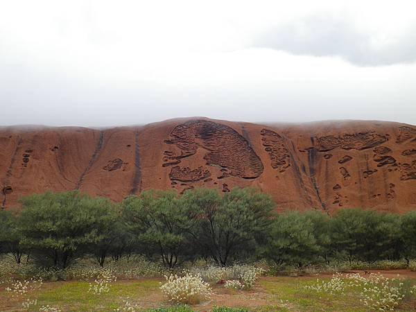 123 160913 Uluru-Base Walk.JPG