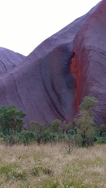 151 160913 Uluru-Base Walk-kuniya walk.jpg