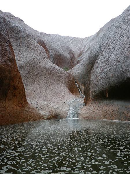 165 160913 Uluru-Kuniya Walk-Mutitjulu Waterhole.JPG
