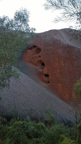 162 160913 Uluru-Kuniya Walk-Mutitjulu Waterhole.jpg