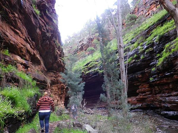 107 160915 Mount Remarkable NP-Alligator Gorge.JPG