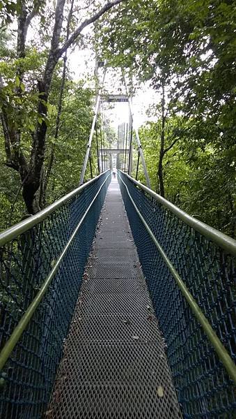 061 160102 Tree top walk.jpg