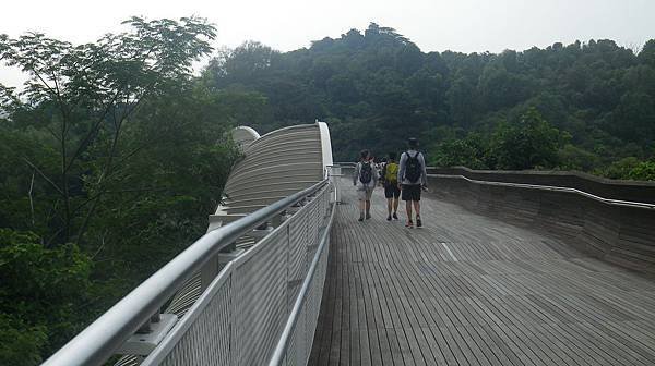 039A 170319 Singapore-Henderson Waves.JPG