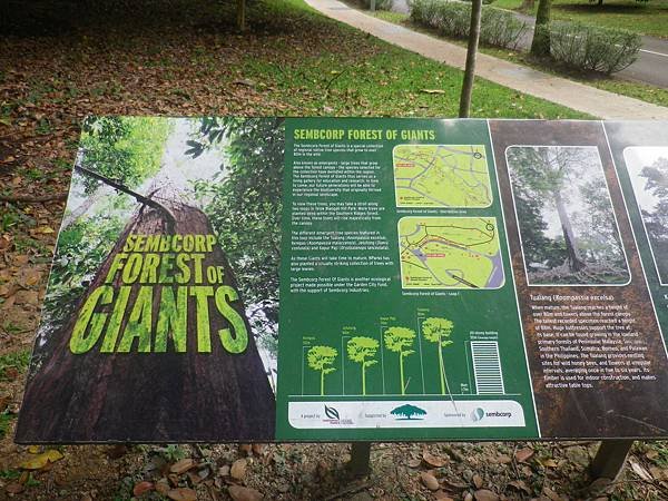 043 170319 Singapore-Telok Blangh Hill-Sembcorp Forest of Giants.JPG