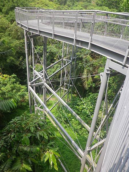 086 170319 Singapore-Telok Blangh Hill-Forest Walk.JPG