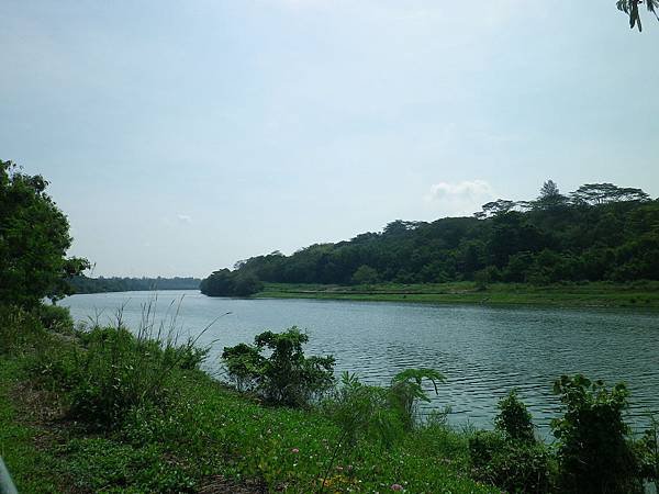 020 160501 Punggol-Promenade Riverside Walk.JPG