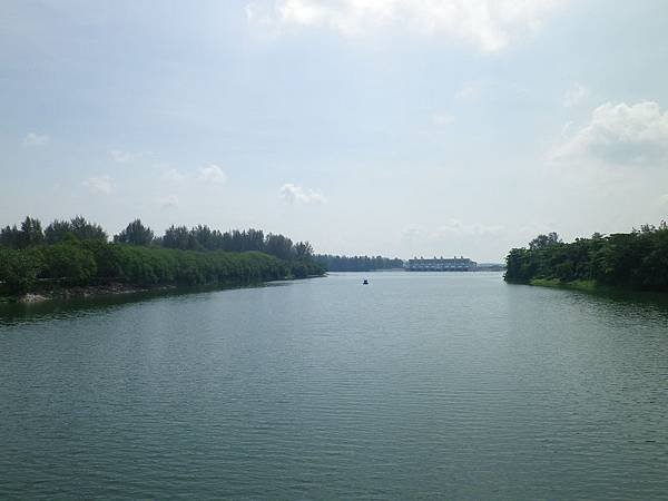 034 160501 Punggol-Lorong Halus Wetland.JPG