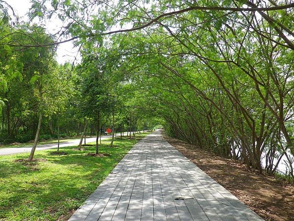 040 160501 Punggol-Promenade Nature Walk.JPG