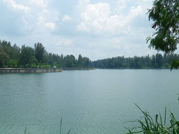 068 160501 Punggol-Lorong Halus Wetland.JPG