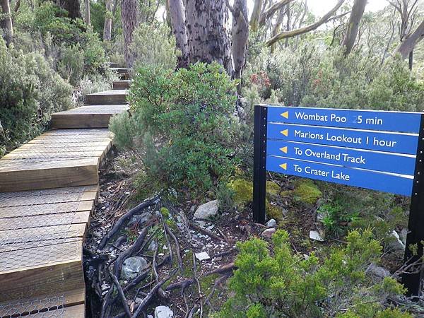 052 180403 Cradle Mountain NP.JPG