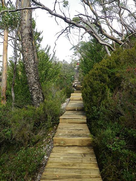 055 180403 Cradle Mountain NP.JPG