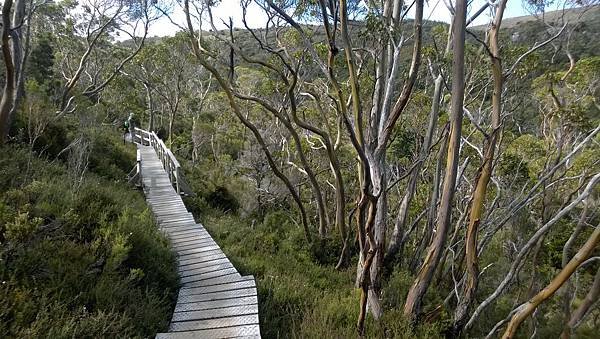 174 180403 Cradle Mountain NP.jpg