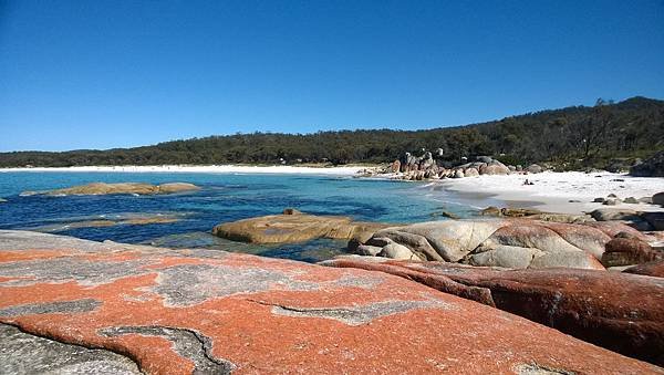 194 180404 Bay of Fires.jpg