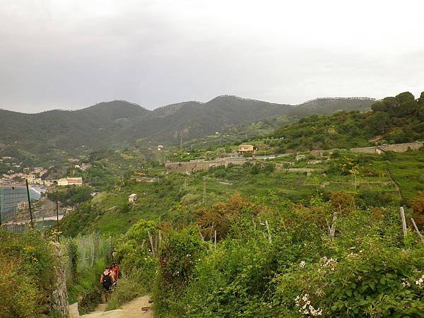 087 190610 SVA2 Sentiero Monterosso - Vernazza.JPG