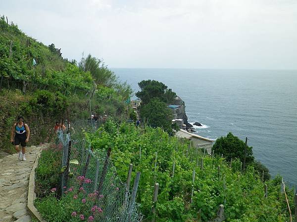 146 190610 SVA2 Sentiero Monterosso - Vernazza.JPG