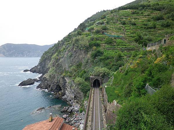 166 190610 SVA2 Sentiero Monterosso - Vernazza.JPG