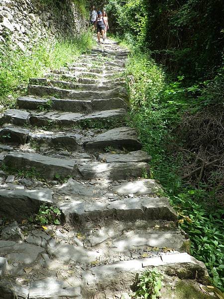 202 190610 SVA2 Sentiero Vernazza - Corniglia.JPG