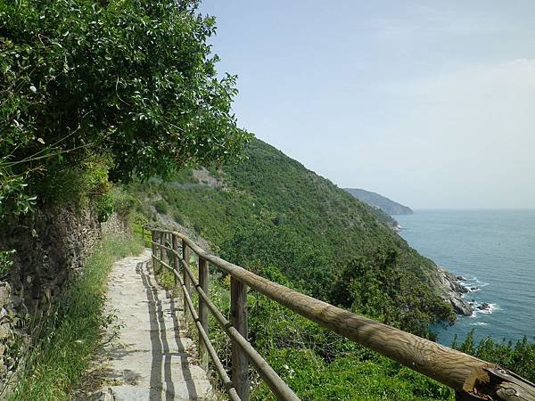 197 190610 SVA2 Sentiero Vernazza - Corniglia.JPG