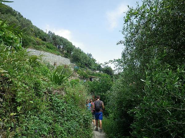 206 190610 SVA2 Sentiero Vernazza - Corniglia.JPG