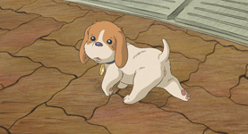 koro.gif