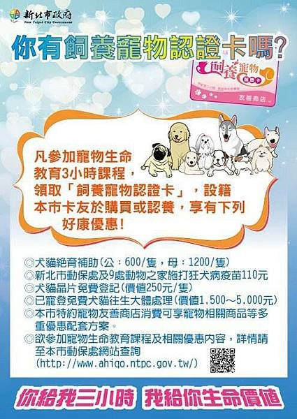 新北動保代言犬，等您來票選2