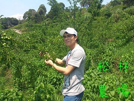 台北林孝澤先生參觀農場