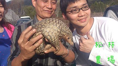 客人很有福氣和穿山甲拜年