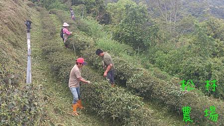 人工除草