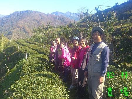 農場粉絲團到茶園參觀