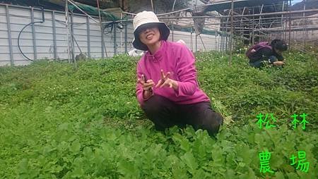農場粉絲團麗修帶小咪、明智、月雲到農場體驗