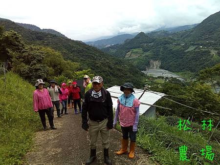 6月10日同學增濱帶福智的志工朋友到農場二日遊