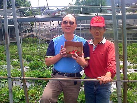同學許敬龍採草莓
