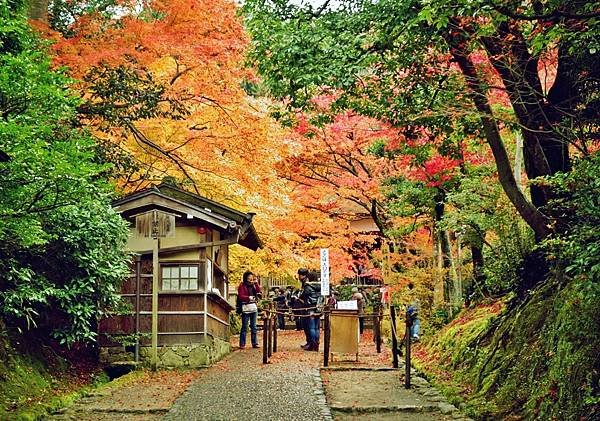 03-京都-常寂光- (1)-06.JPG