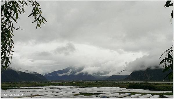 《見與不見–巨柏林．魯朗林海．色季拉山．南迦巴瓦峰！》20