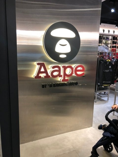 1549161252514.jpg - 201902-10802