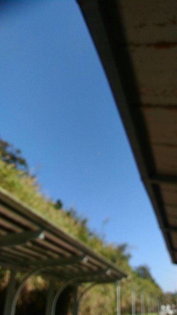 1549530274442.jpg - 201902-10802