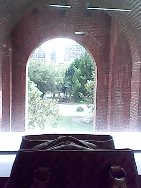 IMG01435.jpg - 2016-105-5