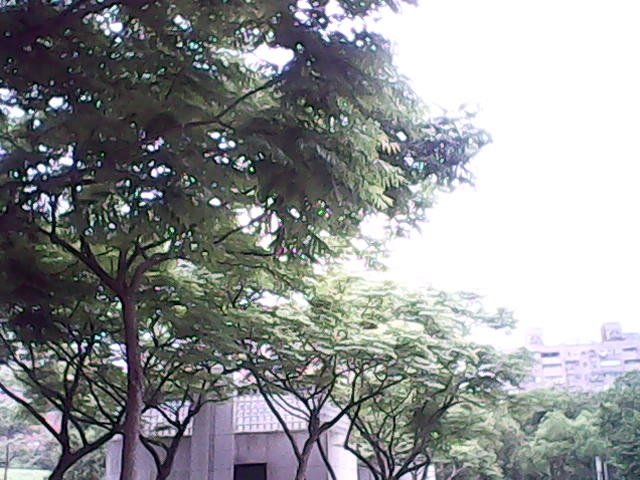 IMG01451.jpg - 2016-105-5