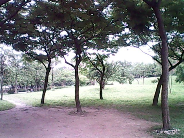 IMG01452.jpg - 2016-105-5