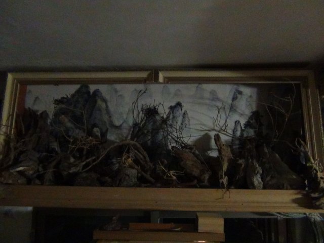 DSC07424.JPG - 2016-105-1-4