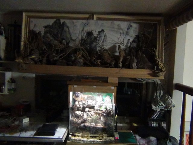 DSC07425.JPG - 2016-105-1-4
