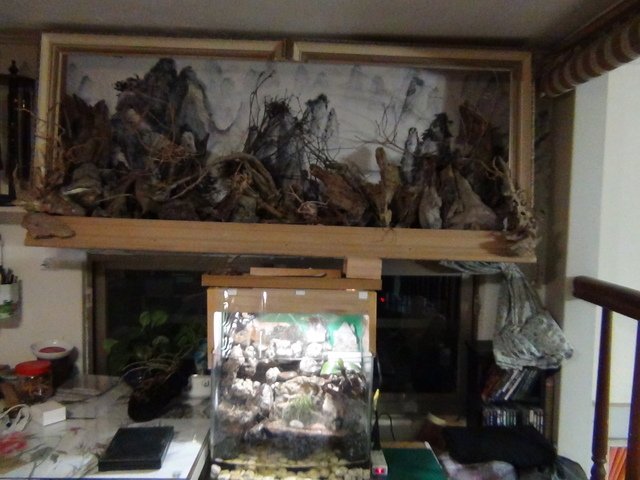 DSC07427.JPG - 2016-105-1-4