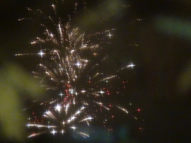 DSC07590.JPG - 2016-105-1-4