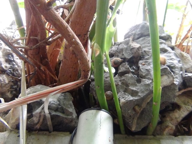 DSC07152.JPG - 2015-104.11