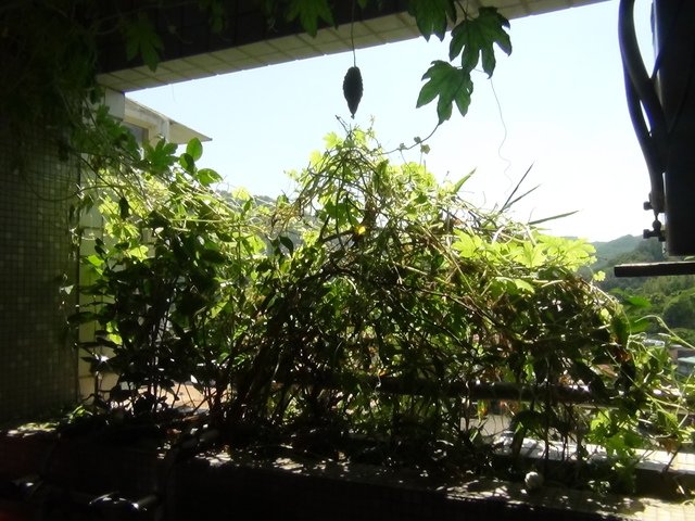 DSC06783.JPG - 2015-104.9