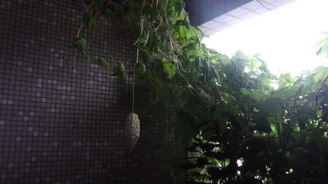 DSC06660.JPG - 2015-104.8