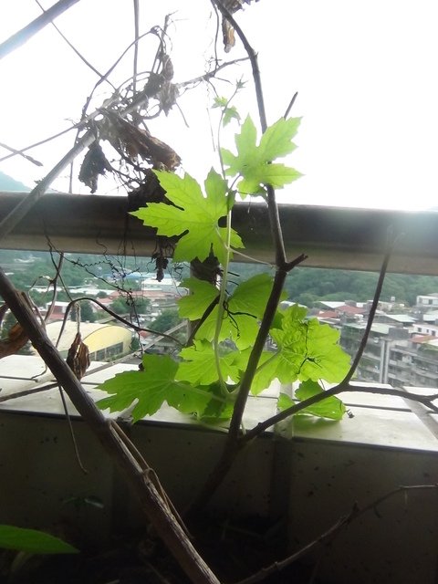 DSC05757.JPG - 2015-104.6