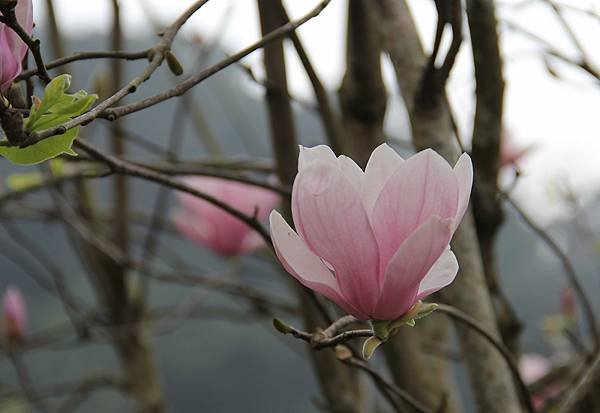 nEO_IMG_IMG_0195a