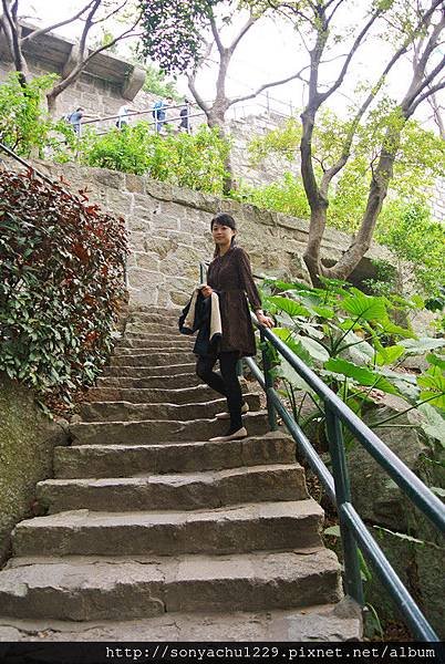 DSC_3185_副本.jpg
