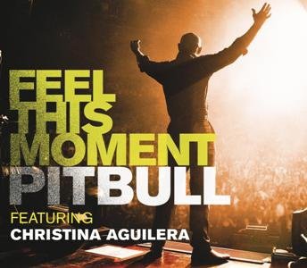 Pitbull Feat. Christina Aguilera-Feel This Moment